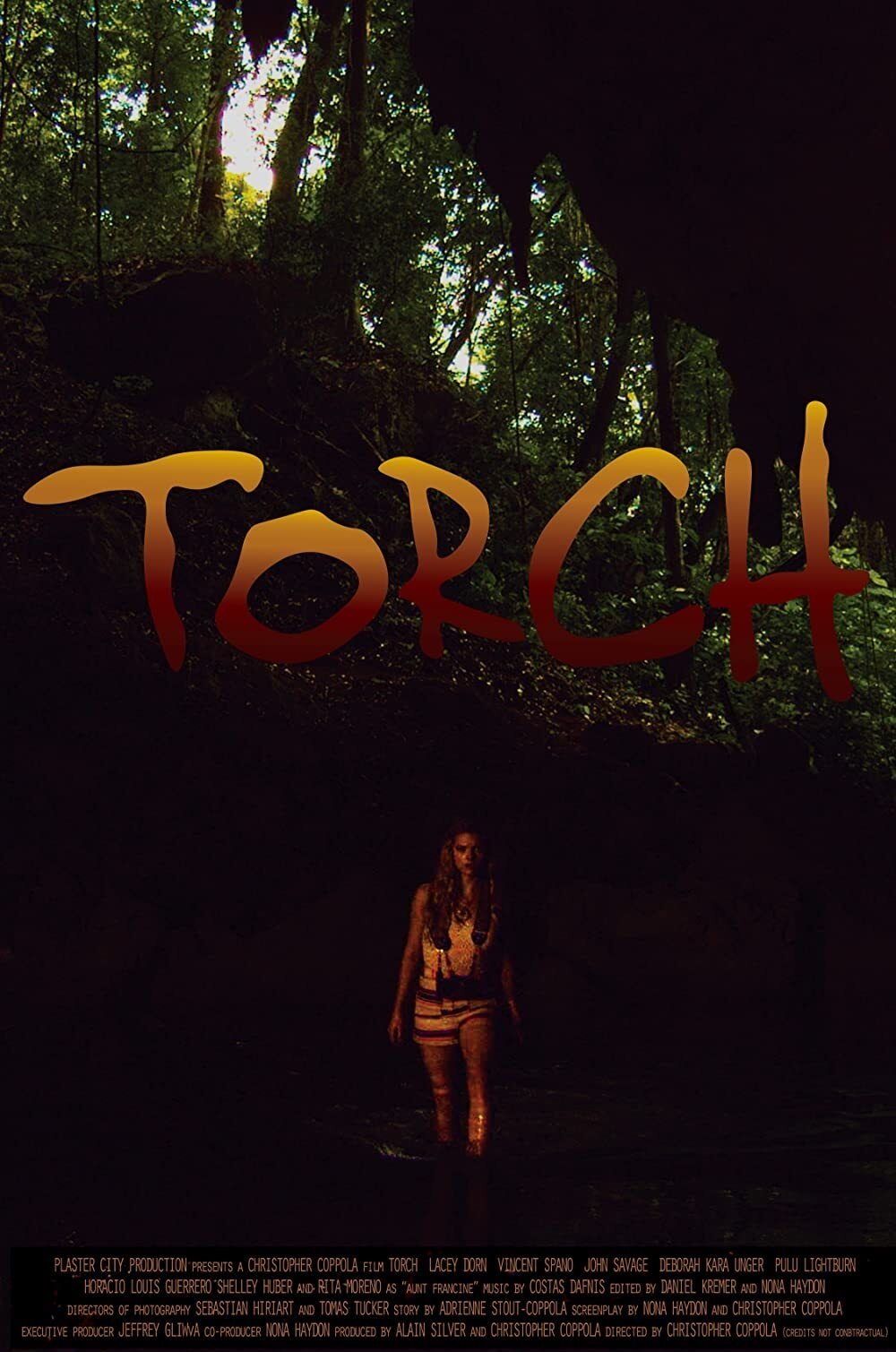 Постер Torch
